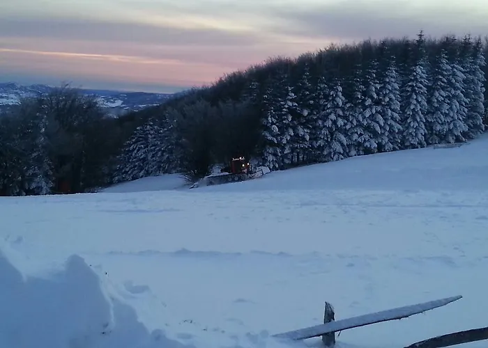 호텔 Fumaiolo Paradise 2*